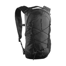 SALOMON XT 10 LC2858500画像