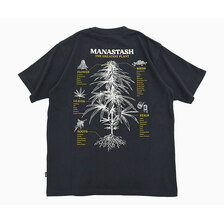 MANASTASH HEMP TEE TGP 7926134001画像
