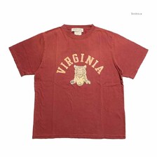 REMI RELIEF NEW SP加工 REGULAR TEE - VIRGINIA - RN30389081画像