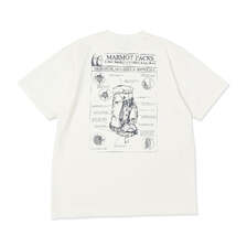 Marmot Archive paks T-Shirt MTSS26MST068画像