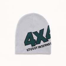 STUSSY 4X4 SKULLCAP 1321258画像