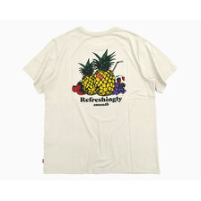 Levi's Coastal Creative Fresh Relaxed Fit S/S Tee 16143-2480画像