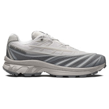SALOMON XT-EVO ALLOY/CASTLEROCK/FTW SILVER L45419100画像