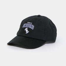 APPLEBUM &ldquo;TOKYO UNDGRND&rdquo; 5 Panel Cap 2620902画像