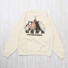The Endless Summer TES 4BUHI SKATE CREW CN SWEAT 1640-26774318画像