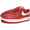 NIKE AIR FORCE 1 LOW 07 Varsity Red/White Icon Franchise Crocodile 315122-607画像