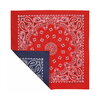 HAV-A-HANK BANDANA REVERSIBLE PAISLEYS MADE IN THE USA Navy / Red Paisley B22REV-000504画像