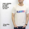 JOHN ARMERS by BARNS S/S TEE 「HAWAII」 AR-2418画像