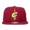 Mitchell & Ness CLEVELAND CAVALIERS BASIC SOLID LOGO SNAPBACK-2 LVMNCLC035画像