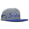 Mitchell & Ness SEATTLE SEAHAWKS TEAM SCRIPT SNAPBACK LVMNSSH027画像