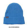 patagonia 23FW Fisherman's Rolled Beanie 29105画像