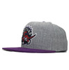 Mitchell & Ness TORONTO RAPTORS 2T HEATHER MICRO SNAPBACK LVMNTRR035画像