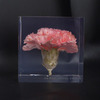 the POOL aoyama × AMKK FLOWER CUBE(L)画像