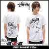 STUSSY Melted WT S/S Tee 1903816画像