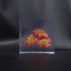 the POOL aoyama × AMKK FLOWER CUBE(S)画像