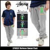 STUSSY Believe Sweat Pant 195019画像