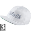 NIKE SB UNSTRUCT DRI-FIT PRO 778343画像
