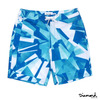 Diamond Supply Co. SIMPLICITY BOARD SHORTS画像