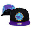 Mitchell & Ness Philadelphia 76ers TEAM LOGO SNAPBACK BLACKxPURPLExAQUA CNFMNPPS030画像