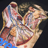 Supreme × UNDERCOVER Anatomy Tee BLACK画像