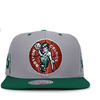 Mitchell & Ness BOSTON CELTICS NBA CHAMPIONS 76 SNAPBACK GREYxGREEN LVMNBTC127画像