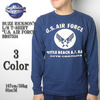 Buzz Rickson's L/S T-SHIRT "U.S. AIR FORCE" BR67534画像
