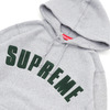 Supreme Chenille Arc Logo Hooded Sweatshirt GRAY画像