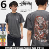 STUSSY Fire Dragon Pigment Dyed S/S Tee 1904034画像