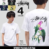 STUSSY Parrots S/S Tee 1904023画像