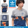 adidas Originals Sweet Leaf Blocked S/S Tee BJ8723画像