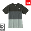 THE NORTH FACE S/S TRICOLOR TEE NT31739画像