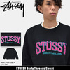 STUSSY Burly Threads Sweat 1914053画像