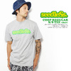 seedleSs. COOP REGULAR S/S TEE -GRAY- SDREG-SS01GR画像