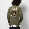 AVIREX U.S.A.F. 70th ANNIVERSARY L/S KHAKI SHIRT 6175148画像