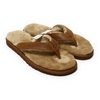 UGG CLASSIC SANDAL CHESTNUT 1011065画像