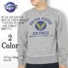 Buzz Rickson's SET-IN CREW SWEAT "UNITED STATES AIR FORCE" BR67771画像