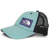 THE NORTH FACE OUTODOOR TRUCKER CAP STORM BLUE NF190288890797画像