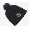 STUSSY SS Link Pom FA17 Cuff Beanie 132850画像
