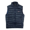 patagonia DOWN SWEATER VEST画像