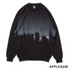 APPLEBUM CITY Crew Sweater BLACK画像