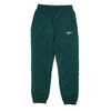 Reebok LF VECTOR TRACK PANT PLAGMATICKTEALF12 DM2667画像