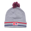 THE NORTH FACE IC SKI TUKE BEANIE GREY 191164610836画像