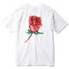 OBEY BASIC TEES "OBEY AIRBRUSHED ROSE" (WHITE)画像