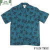 TWO PALMS PALM TREE画像