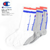Champion FULL LENGTH SOCKS -BACK LOGO- CMSAM010画像