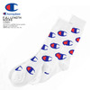 Champion FULL LENGTH SOCKS -LOGO- CMSAM006画像