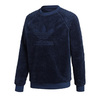 adidas Originals WINTERIZED CREW SWEATSHIRT COLLEGE NAVY DH7076画像
