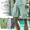 CRIMIE ROY TIGER ALOHA SHORTS C1K1-PT05画像
