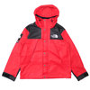 Supreme × THE NORTH FACE 18FW Leather Mountain Parka RED画像
