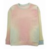 The Elder Statesman PRINTED FELTED SWEATSHIRT CFSWSP画像
